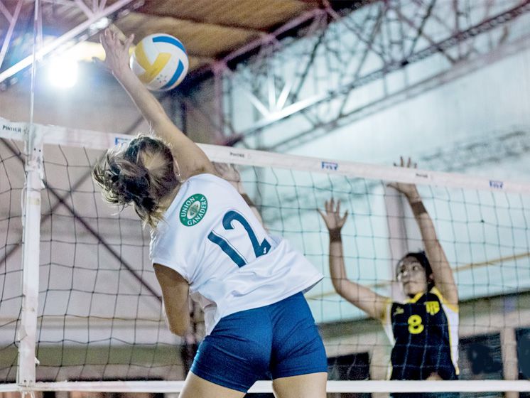 Voley