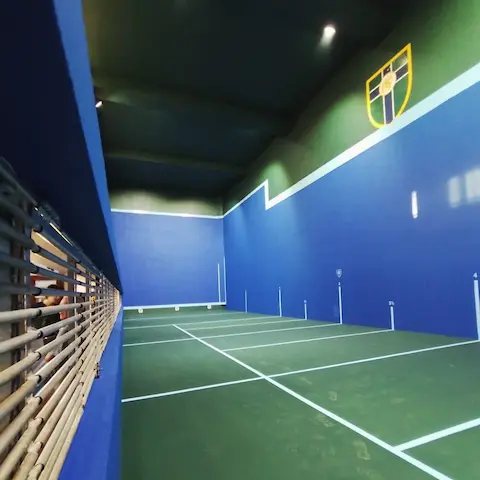 Pelota Paleta
